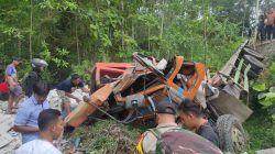 Truk Fuso Pengangkut Batako Jatuh ke Jurang di JLS Pacitan