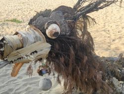 Keren, Ada Spot Foto Keren di Pantai Pancer Pacitan Berbahan Sampah
